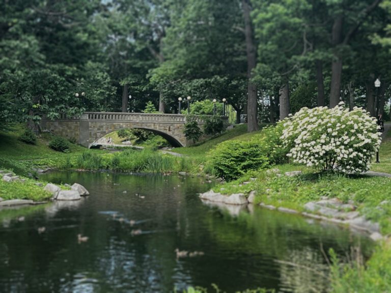 Bridge IMG 4463 tiltshift 768x576