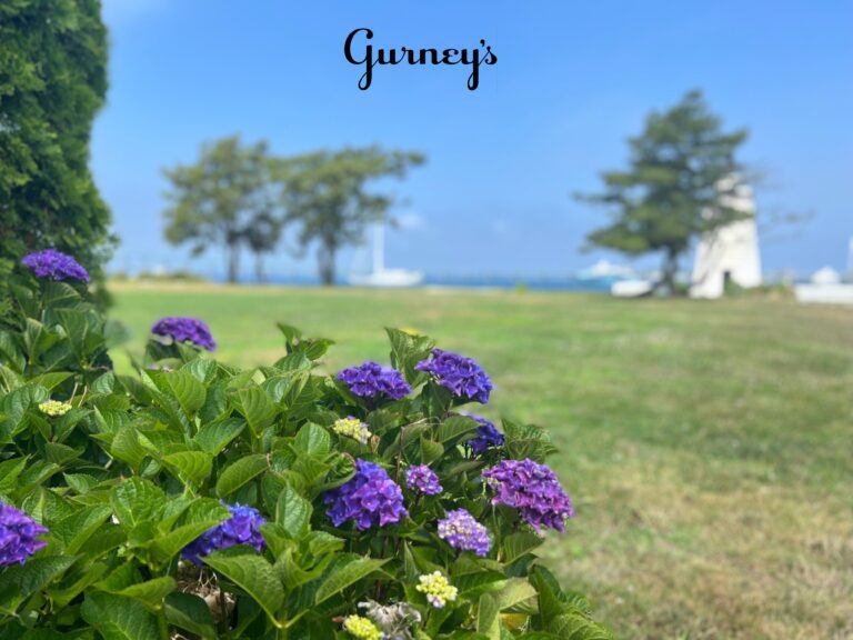 Hydrangea lighthouse 768x576