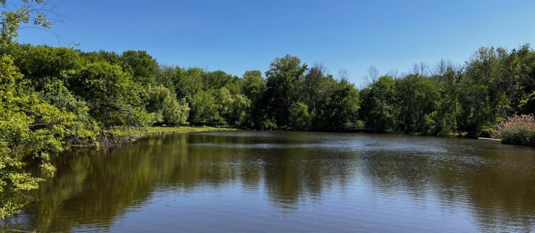 001 IMG 0203 Lake CROP 768x335