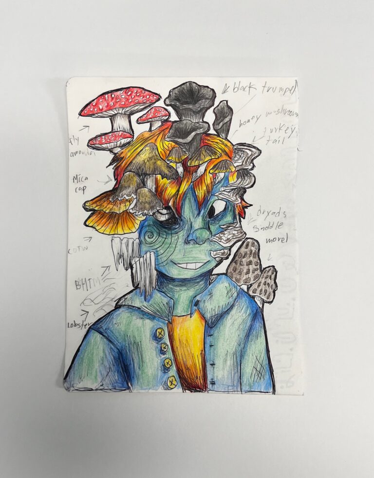 Ash the Mushroom King 768x981