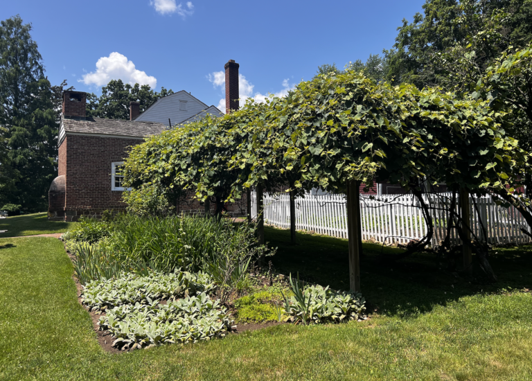 Screenshot 2025 02 17 at 12.56.05 768x550