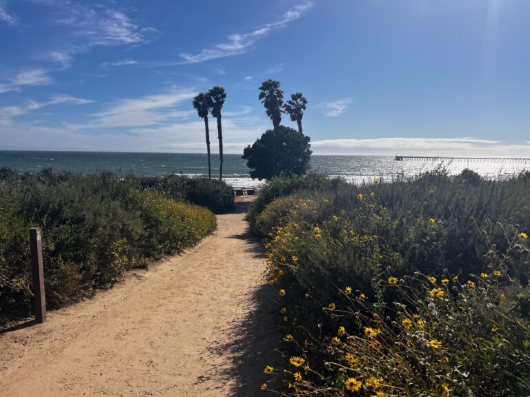 01 Landscape IMG 5871 2 768x576