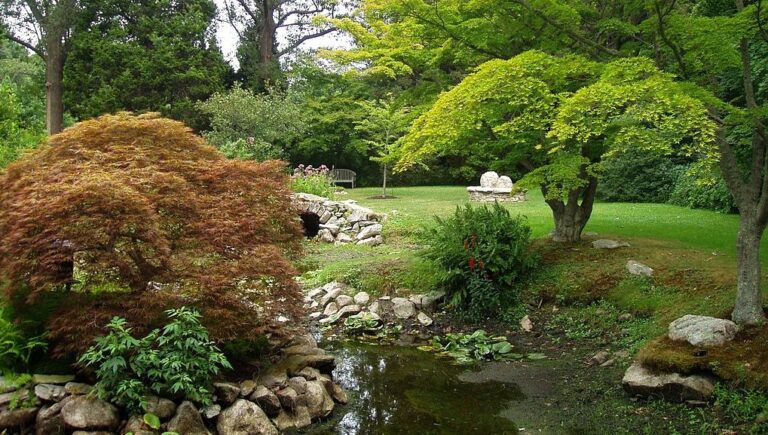 1024px Blithewold Mansion   Water Garden 768x435