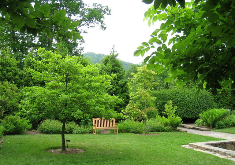 1024px North Carolina Arboretum   bench 768x540