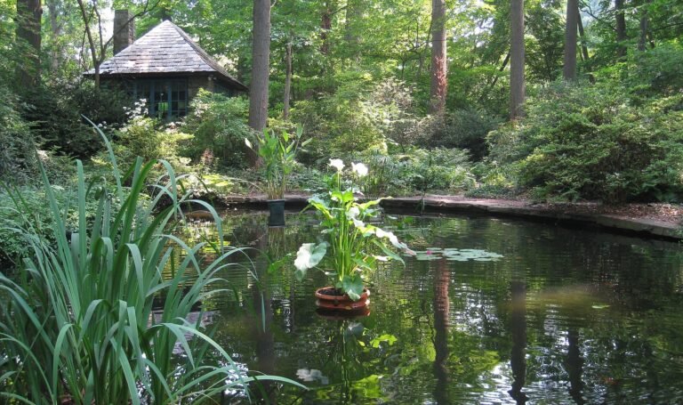 Barnes Foundation Merion PA   arboretum pond 768x455