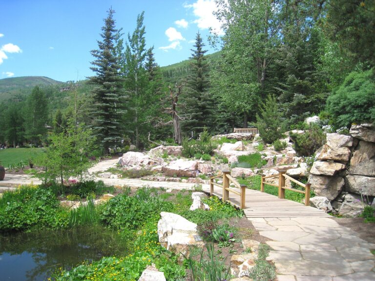 Betty Ford Alpine Gardens Vail CO   bridge 768x576