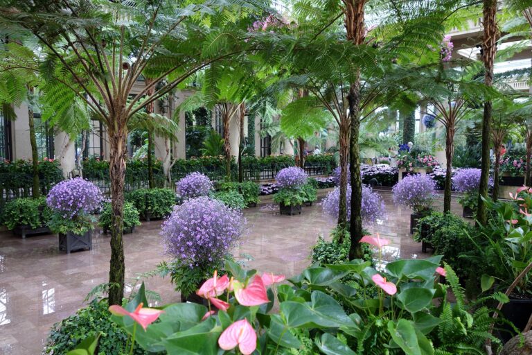 Conservatory   Longwood Gardens   DSC01089 768x512