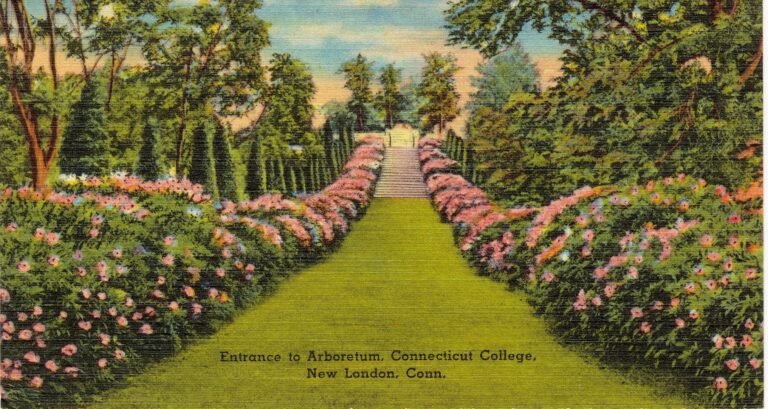 Entrance to Arboretum Connecticut College New London Conn 69626 768x409