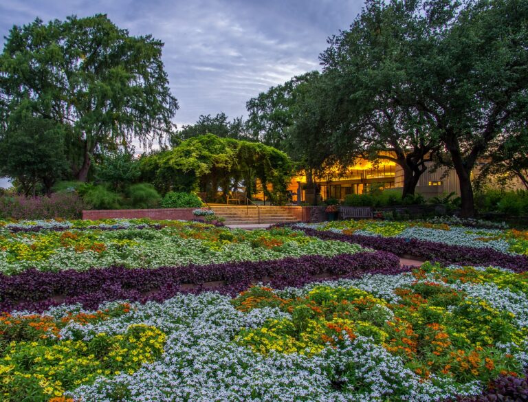 Evening Gardens 768x585