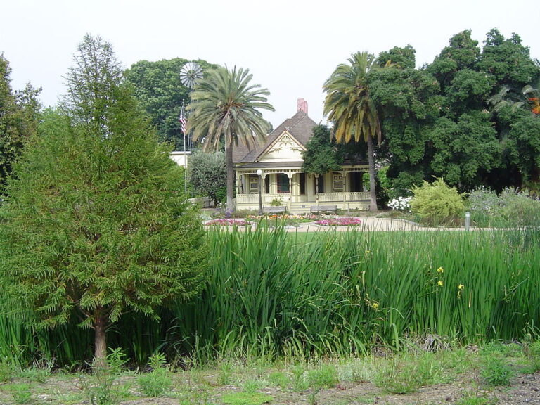 Fullerton Arboretum 023 768x576