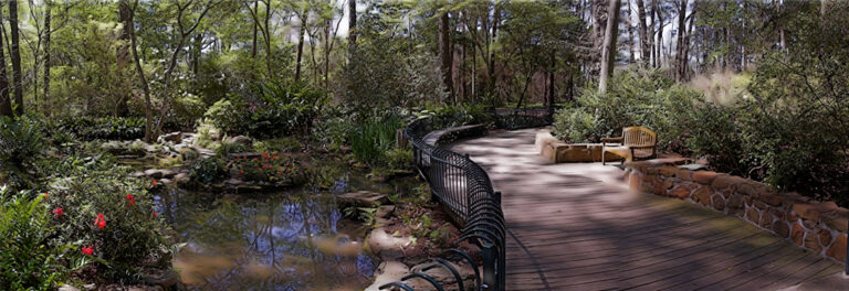 Shade Bog Garden   Flickr   pinemikey 768x264