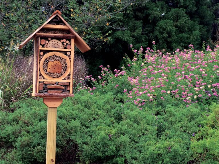 bartlett arboretum pollinators hotel 3 768x576