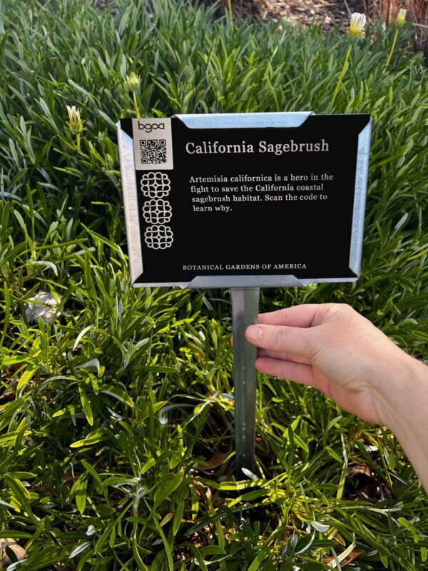 Example of a garden sign installed in a garden bed