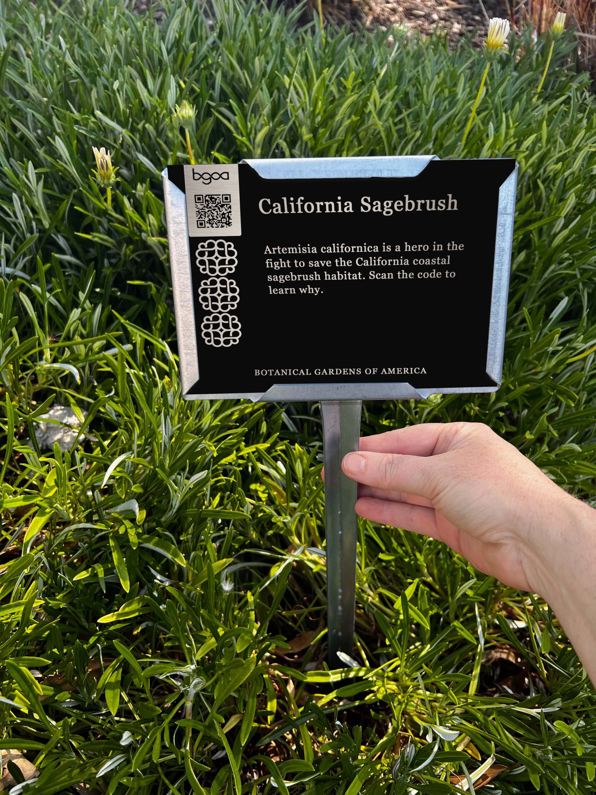 Picture of a 5"x4" garden sign. Anodized aluminum, silver on black.