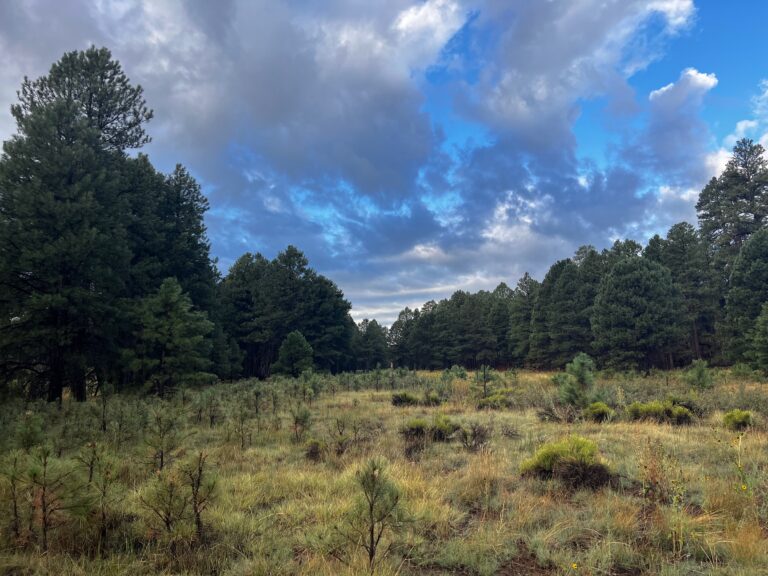 Sinclair Wash 768x576