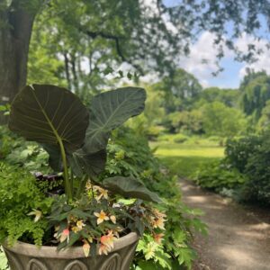 Legacy Garden Package – Waiting List – Refundable Deposit